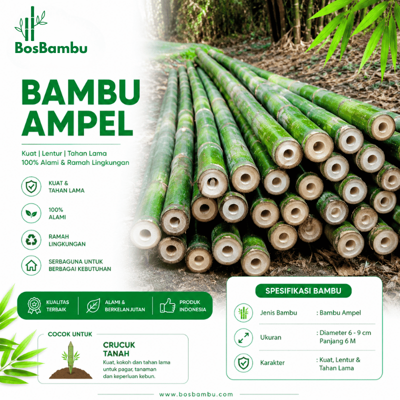 Bambu Ampel / Ori - Produk BosBambu