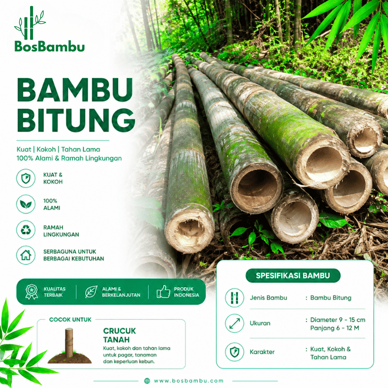Bambu Bitung - Produk BosBambu